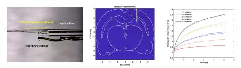 optogenetics_brain_tempearture